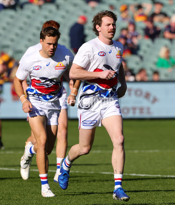 AFL 2024 Round 22 - Adelaide v Western Bulldogs - A-52699566