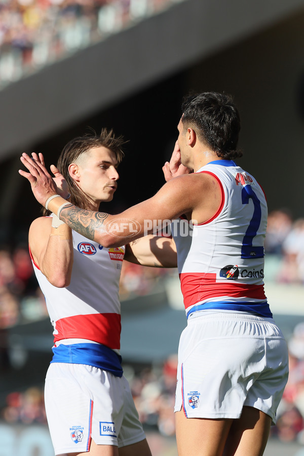 AFL 2024 Round 22 - Adelaide v Western Bulldogs - A-52704699