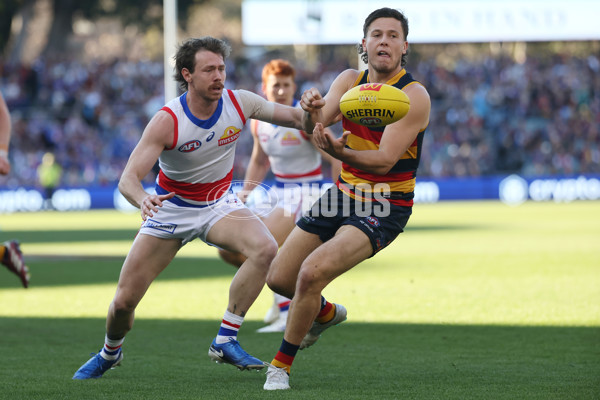 AFL 2024 Round 22 - Adelaide v Western Bulldogs - A-52705066