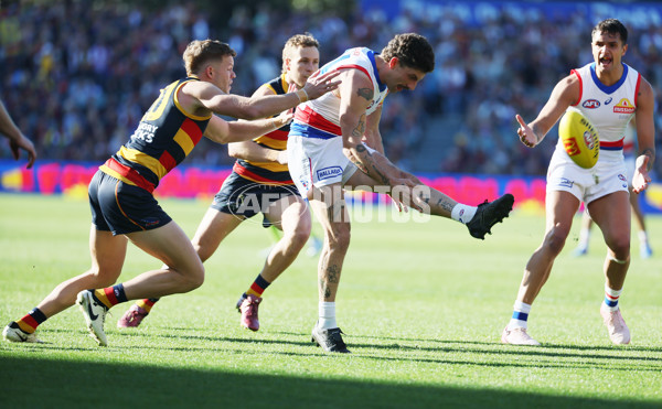 AFL 2024 Round 22 - Adelaide v Western Bulldogs - A-52705067