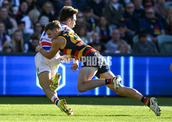 AFL 2024 Round 22 - Adelaide v Western Bulldogs - A-52705088