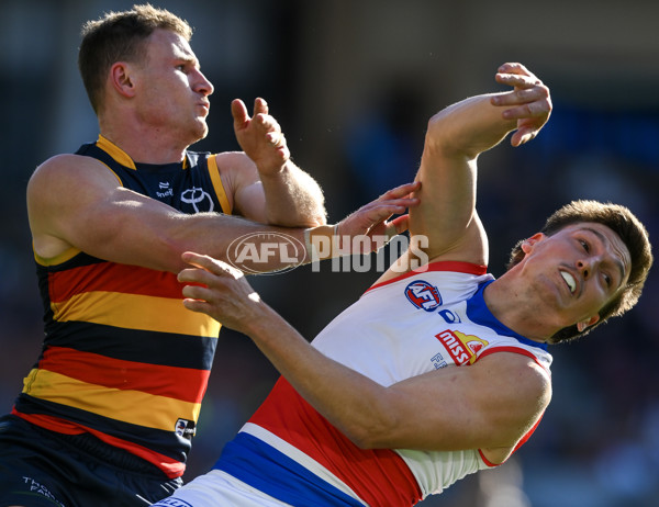 AFL 2024 Round 22 - Adelaide v Western Bulldogs - A-52706871