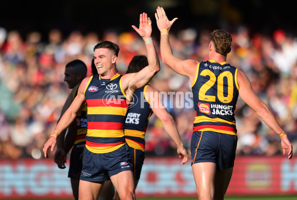 AFL 2024 Round 22 - Adelaide v Western Bulldogs - A-52706906