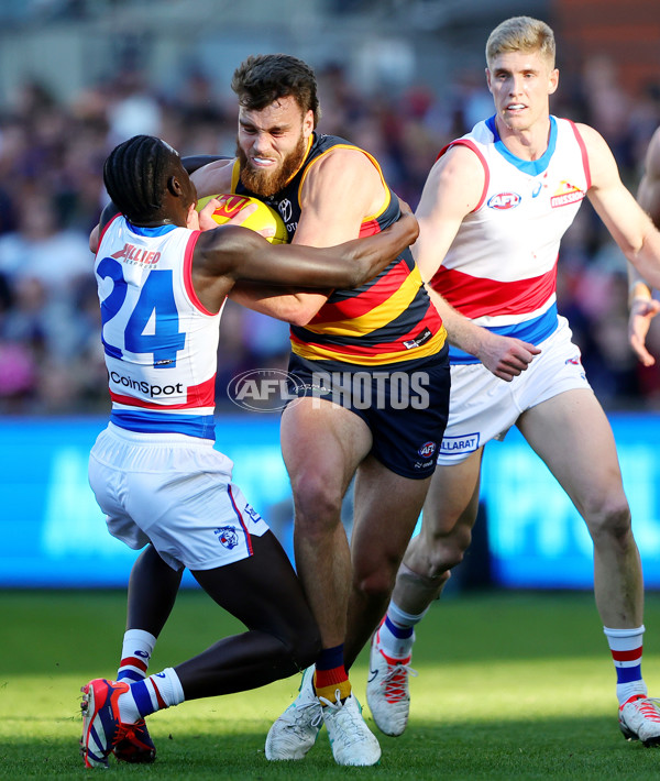 AFL 2024 Round 22 - Adelaide v Western Bulldogs - A-52706910