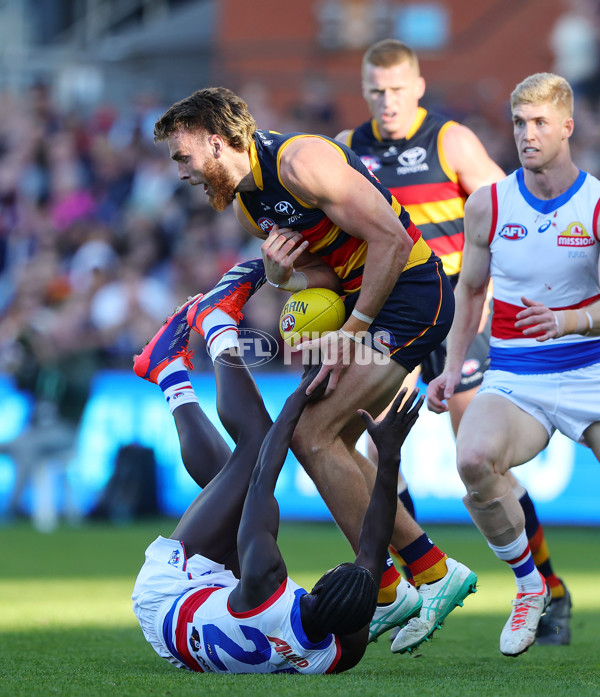 AFL 2024 Round 22 - Adelaide v Western Bulldogs - A-52706934