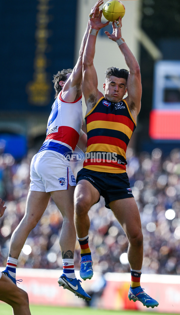 AFL 2024 Round 22 - Adelaide v Western Bulldogs - A-52706940