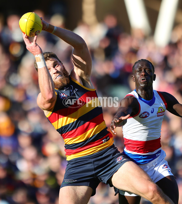 AFL 2024 Round 22 - Adelaide v Western Bulldogs - A-52707992