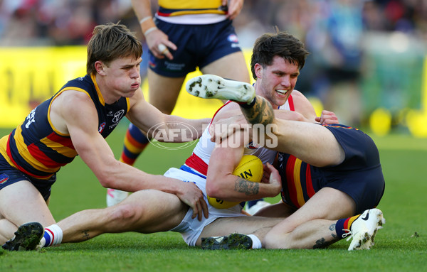 AFL 2024 Round 22 - Adelaide v Western Bulldogs - A-52707998