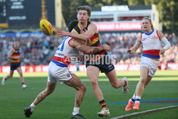 AFL 2024 Round 22 - Adelaide v Western Bulldogs - A-52708006