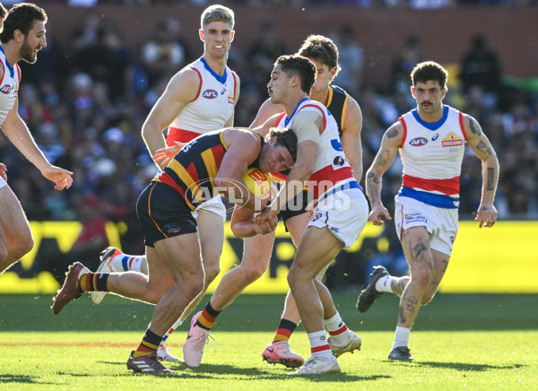 AFL 2024 Round 22 - Adelaide v Western Bulldogs - A-52708026