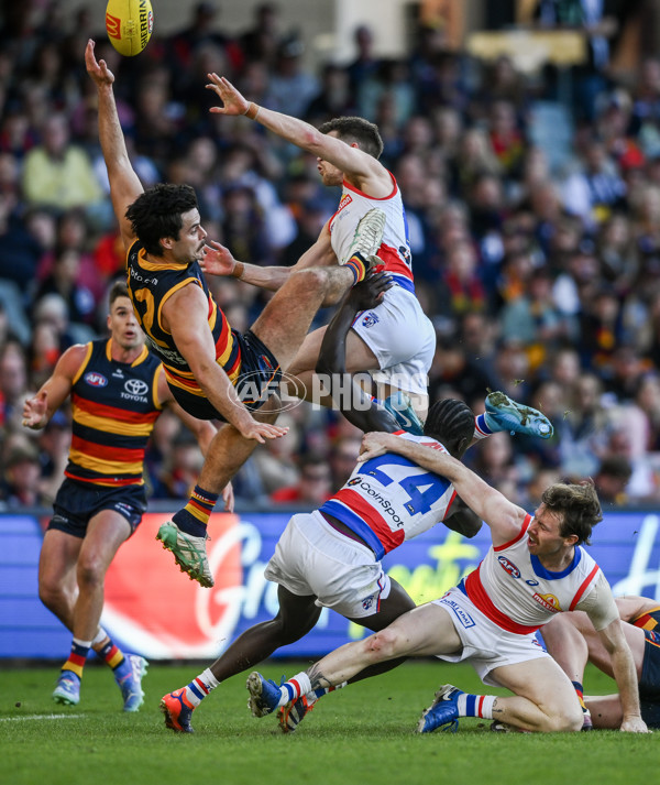 AFL 2024 Round 22 - Adelaide v Western Bulldogs - A-52708053