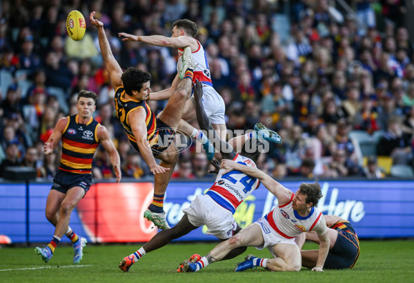 AFL 2024 Round 22 - Adelaide v Western Bulldogs - A-52708054