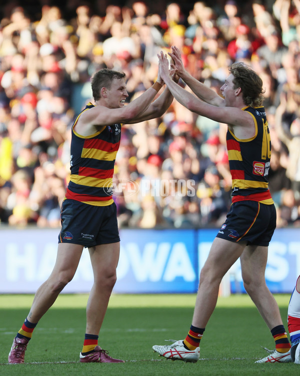 AFL 2024 Round 22 - Adelaide v Western Bulldogs - A-52708055