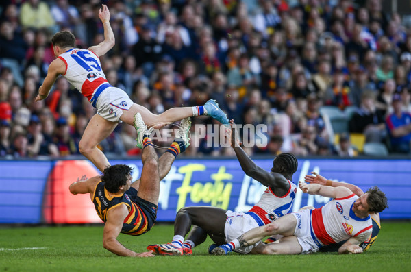 AFL 2024 Round 22 - Adelaide v Western Bulldogs - A-52708056