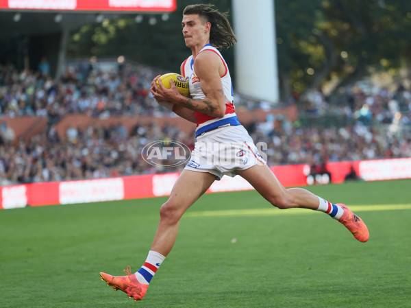 AFL 2024 Round 22 - Adelaide v Western Bulldogs - A-52709310