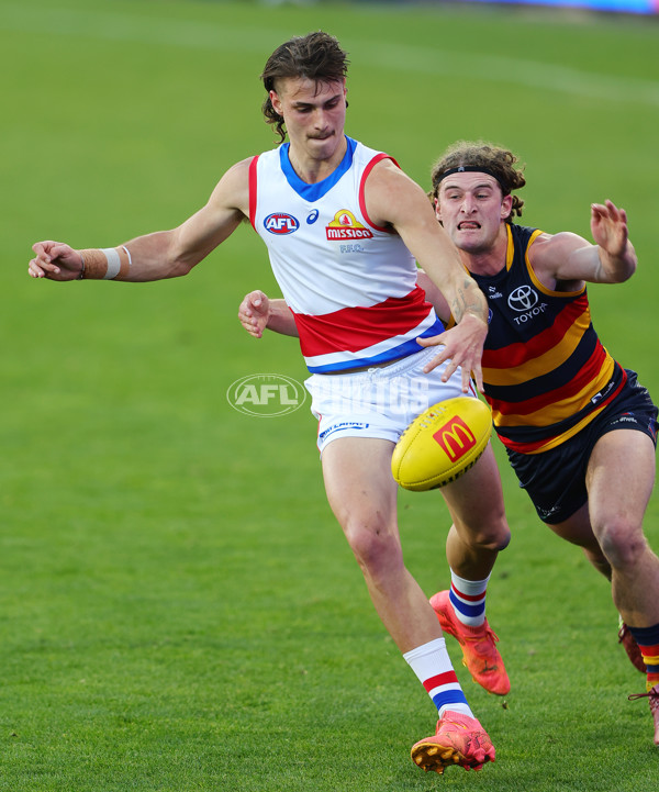 AFL 2024 Round 22 - Adelaide v Western Bulldogs - A-52709315