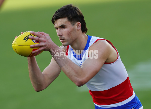 AFL 2024 Round 22 - Adelaide v Western Bulldogs - A-52709365