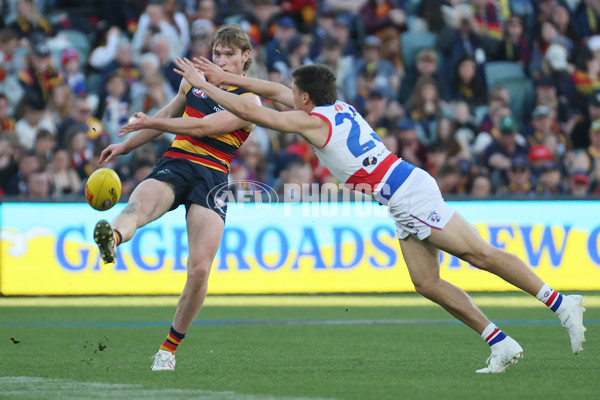 AFL 2024 Round 22 - Adelaide v Western Bulldogs - A-52710724