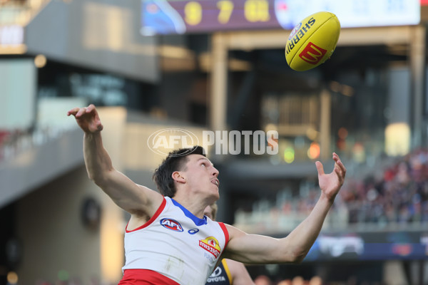 AFL 2024 Round 22 - Adelaide v Western Bulldogs - A-52710782