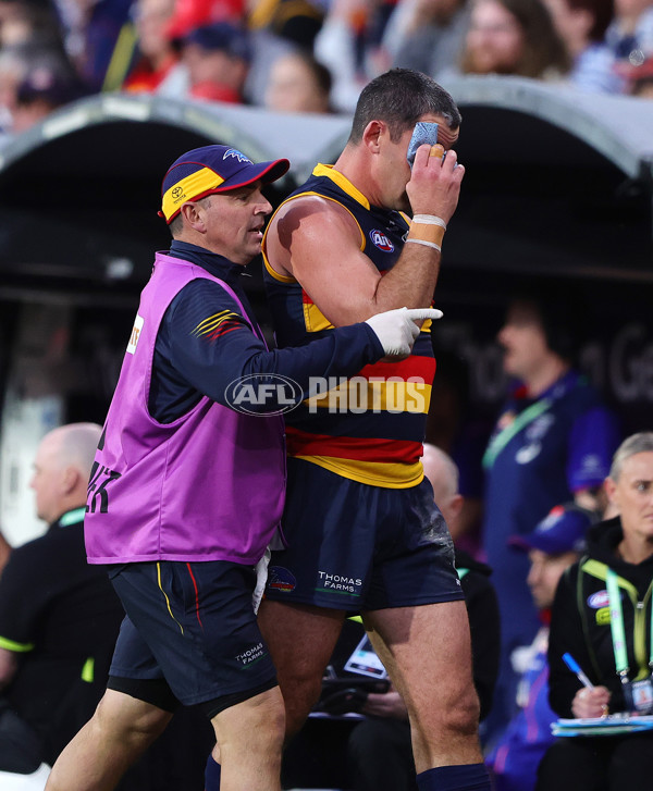 AFL 2024 Round 22 - Adelaide v Western Bulldogs - A-52713236