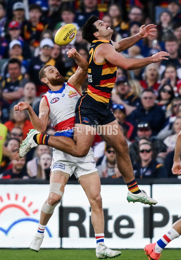 AFL 2024 Round 22 - Adelaide v Western Bulldogs - A-52713246