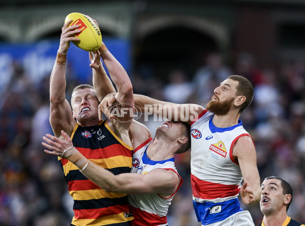 AFL 2024 Round 22 - Adelaide v Western Bulldogs - A-52713266