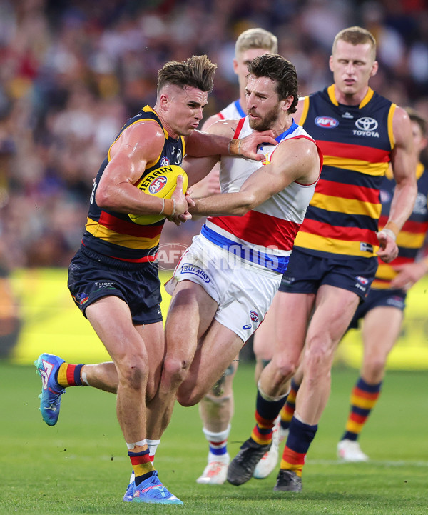 AFL 2024 Round 22 - Adelaide v Western Bulldogs - A-52713275