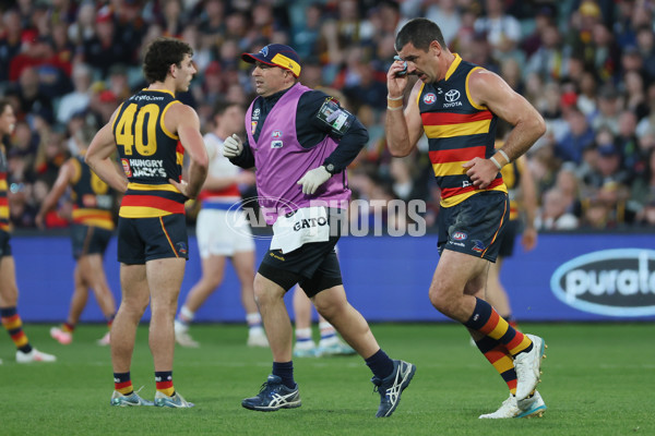 AFL 2024 Round 22 - Adelaide v Western Bulldogs - A-52714682