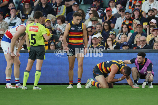 AFL 2024 Round 22 - Adelaide v Western Bulldogs - A-52714686