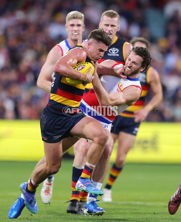 AFL 2024 Round 22 - Adelaide v Western Bulldogs - A-52714695