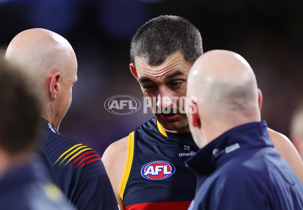 AFL 2024 Round 22 - Adelaide v Western Bulldogs - A-52714709