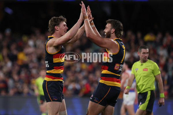 AFL 2024 Round 22 - Adelaide v Western Bulldogs - A-52714727