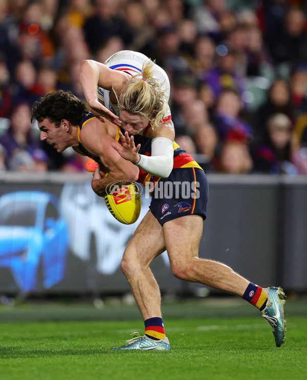 AFL 2024 Round 22 - Adelaide v Western Bulldogs - A-52716262