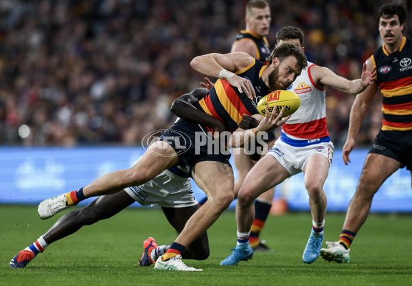 AFL 2024 Round 22 - Adelaide v Western Bulldogs - A-52716266