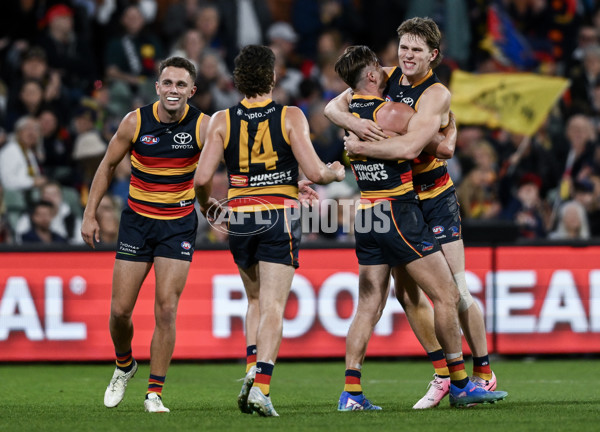 AFL 2024 Round 22 - Adelaide v Western Bulldogs - A-52716271