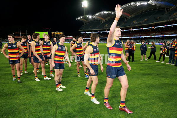 AFL 2024 Round 22 - Adelaide v Western Bulldogs - A-52716282