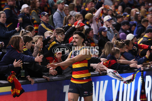 AFL 2024 Round 22 - Adelaide v Western Bulldogs - A-52716294