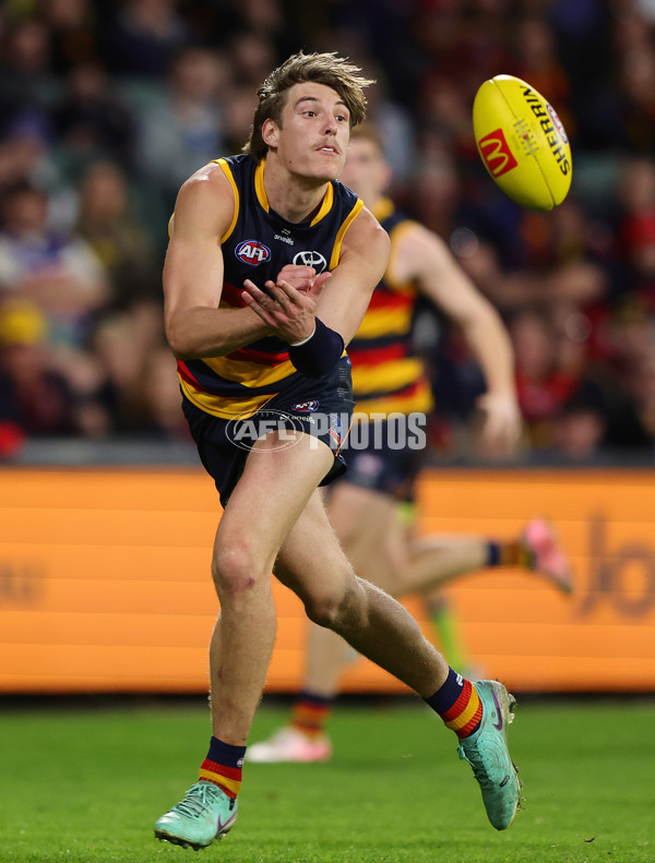 AFL 2024 Round 22 - Adelaide v Western Bulldogs - A-52716315