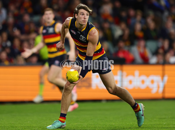 AFL 2024 Round 22 - Adelaide v Western Bulldogs - A-52716318