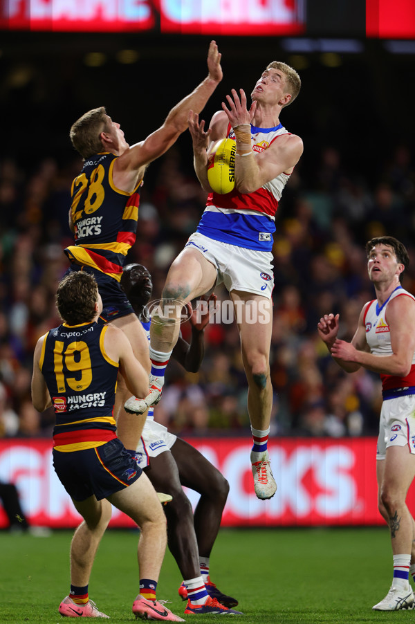 AFL 2024 Round 22 - Adelaide v Western Bulldogs - A-52717000