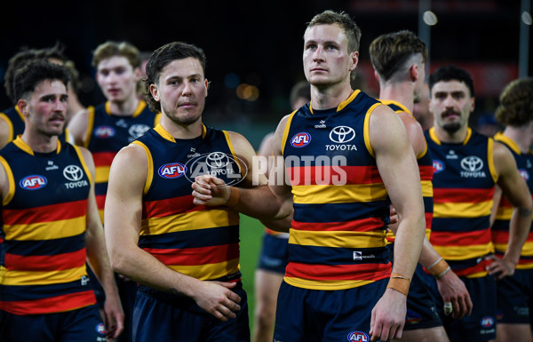 AFL 2024 Round 22 - Adelaide v Western Bulldogs - A-52717003