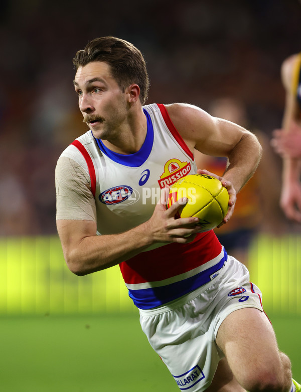 AFL 2024 Round 22 - Adelaide v Western Bulldogs - A-52717027