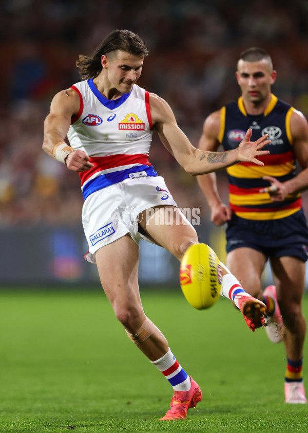 AFL 2024 Round 22 - Adelaide v Western Bulldogs - A-52718887