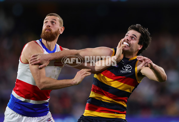 AFL 2024 Round 22 - Adelaide v Western Bulldogs - A-52718897