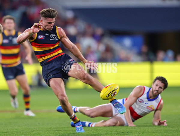 AFL 2024 Round 22 - Adelaide v Western Bulldogs - A-52718907