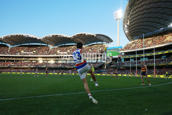 AFL 2024 Round 22 - Adelaide v Western Bulldogs - A-52718923