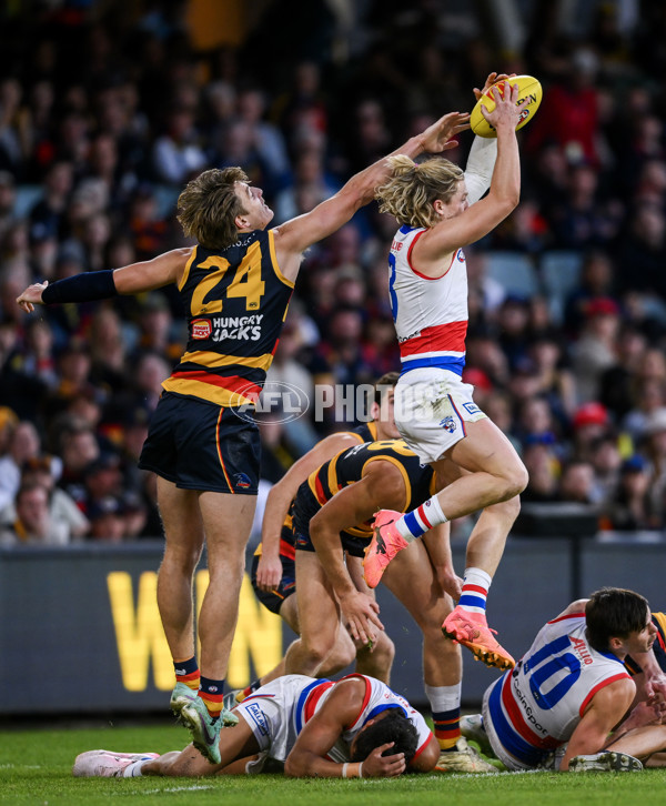 AFL 2024 Round 22 - Adelaide v Western Bulldogs - A-52718939