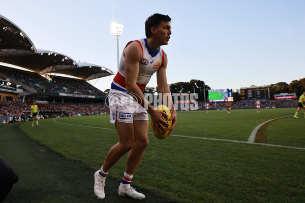 AFL 2024 Round 22 - Adelaide v Western Bulldogs - A-52719509