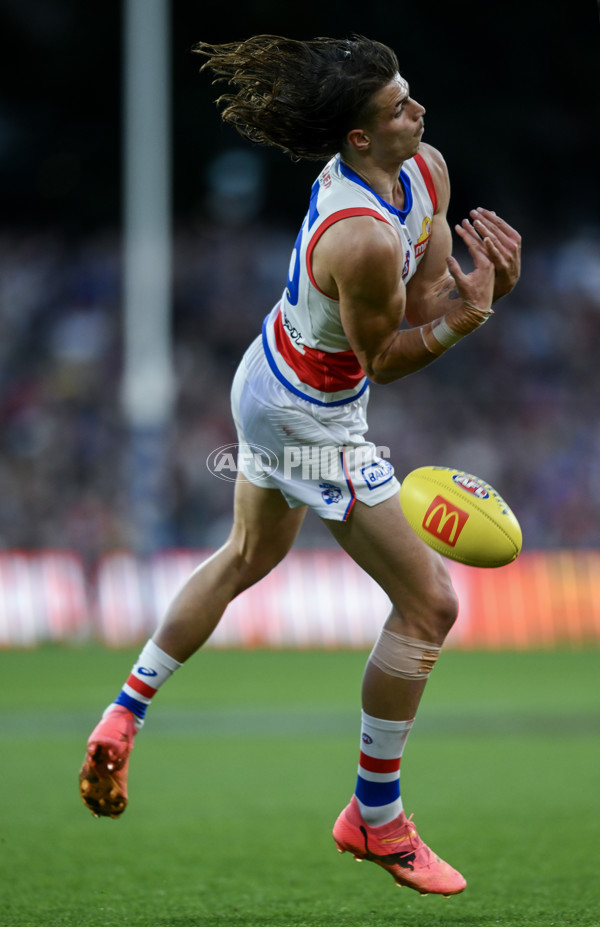 AFL 2024 Round 22 - Adelaide v Western Bulldogs - A-52719517