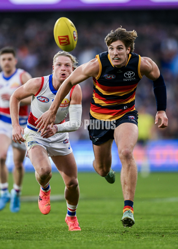 AFL 2024 Round 22 - Adelaide v Western Bulldogs - A-52719528